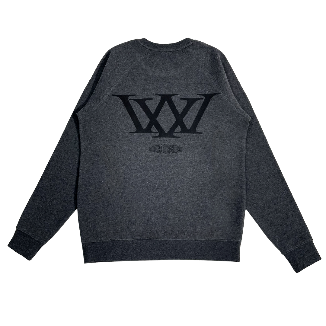 Dark gray sweatshirt with a black logo on the back against a white background